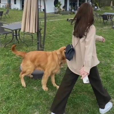 不情愿的新娘